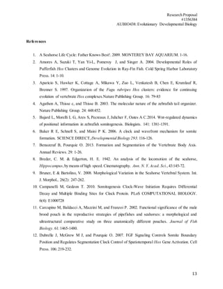 Research Proposal
#1356384
AUBIO438: Evolutionary Developmental Biology
13
References
1. A Seahorse Life Cycle: Father Knows Best!. 2009. MONTEREY BAY AQUARIUM. 1-16.
2. Amores A, Suzuki T, Yan Yi-L, Pomeroy J, and Singer A. 2004. Developmental Roles of
Pufferfish Hox Clusters and Genome Evolution in Ray-Fin Fish. Cold Spring Harbor Laboratory
Press. 14: 1-10.
3. Aparicio S, Hawker K, Cottage A, Mikawa Y, Zuo L, Venkatesh B, Chen E, Krumlauf R,
Brenner S. 1997. Organization of the Fugu rubripes Hox clusters: evidence for continuing
evolution of vertebrate Hox complexes.Nature Publishing Group. 16: 79-83
4. Agathon A, Thisse c, and Thisse B. 2003. The molecular nature of the zebrafish tail organizer.
Nature Publishing Group. 24: 448:452.
5. Bajard L, Morelli L G, Ares S, Pecreaux J, Julicher F, Oates A C.2014. Wnt-regulated dynamics
of positional information in zebrafish somitogenesis. Biologists. 141: 1381-1391.
6. Baker R E, Schnell S, and Maini P K. 2006. A clock and wavefront mechanism for somite
formation. SCIENCE DIRECT, Developmental Biology 293. 116-126.
7. Benazeraf B, Pourquie O. 2013. Formation and Segmentation of the Vertebrate Body Axis.
Annual Reviews. 29: 1-26.
8. Breder, C. M. & Edgerton, H. E. 1942. An analysis of the locomotion of the seahorse,
Hippocampus,by means of high speed. Cinematography. Ann. N. Y. Acad. Sci.,43:145-72.
9. Bruner, E & Bartolino, V. 2008. Morphological Variation in the Seahorse Vertebral System. Int.
J. Morphol., 26(2): 247-262.
10. Campanelli M, Gedeon T. 2010. Somitogenesis Clock-Wave Initiation Requires Differential
Decay and Multiple Binding Sites for Clock Protein. PLoS COMPUTATIONAL BIOLOGY.
6(4): E1000728
11. Carcupino M, Baldacci A, Mazzini M, and Franzoi P. 2002. Functional significance of the male
brood pouch in the reproductive strategies of pipefishes and seahorses: a morphological and
ultrastructural comparative study on three anatomically different pouches. Journal of Fish
Biology. 61:1465-1480.
12. Dubrelle J, McGrew M J, and Pourquie O. 2007. FGF Signaling Controls Somite Boundary
Position and Regulates Segmentation Clock Control of Spatiotemporal Hox Gene Activation. Cell
Press. 106: 219-232.
 