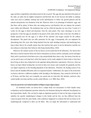 Research Proposal
#1356384
AUBIO438: Evolutionary Developmental Biology
5
eggs and their compatibility and enhancement for the research. The eggs that gets hatched in the pouch of
the male, are pink and are slightly transparent and therefore this in turn increase the ability to undergo
some tests such as antibody staining and in-situ hybridization to follow the growth patterns and the
anterior and posterior axis formation in the lab. Moreover, there is an advantage of seahorses’ eggs, and
that there will be plenty of them after one mating process and therefore this can enhance the research
more widely and efficiently. The incubation time can be a little bit long that can vary from 3 weeks to 4
weeks for the eggs to hatch and dissociate from the male pouch. One more advantage to my own
perspective is that the eggs are attached to the pouch of the male and the male in turn have the ability to
handle parental care for the eggs as it offers all the nutrients and oxygen needed for the embryo
development. The pouch also can offer protection for the eggs. Consequently, this can important for
determining their life cycle after being hatched from the male brooding structure and monitoring how
long it takes them to be sexually mature does this and how they grow in size by themselves and this can
also enhance to determine their behavior after being hatched (Ruiz, 2010).
Moreover, the nutrient system of the sea horses can be easily bred in the laboratory. Sea horses have
little time to absorb nutrient before the food is eliminated, sea horses need to constantly search and ingest
food, and it is preferred to feed them twice a day and preferably three times a day. Sea horses from the sea
can be used to prey on living food, while bred species can be easily adapted to frozen food, as they have
been living on them since being bred in the aquarium during laboratory experiments. However, when sea
horses are kept without feeding that can feed on their own tissues and eventually die gradually and this
can impact negatively on the breeding population in the laboratory. Therefore, the feeding system of sea
horses must be handled efficiently and in an organized manner. Furthermore, the aspect of fry newly born
sea horses, that have a different condition while breeding in the laboratory, they cannot be fed for the 18
to 20 hours, and then they can eventually can search and see food after this duration; moreover, they
cannot handle starvation and they can die easily (Olivotto et al. 2008; Ruiz, 2010).
Anterior-posterior axis body formation of Hippocampus hippocampus
As mentioned earlier, sea horses have a unique body axis and posture in which implies many
evolutionary and developmental questions about the axis formation during the embryonic development in
the Syngnathidae family. This can lead to imply an important question of what are the types of genes that
underlies the specific morphological changes in this family and the how are they different from the
conserved genes from the same family, what could have happened in evolution that led sea horses to be
morphologically compared to other ray fin fishes. This can imply the information to understand and
 