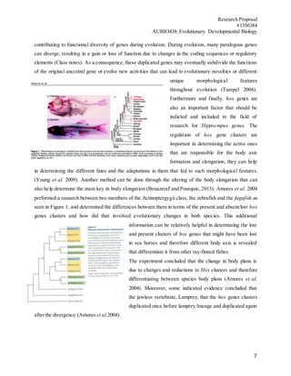 Research Proposal
#1356384
AUBIO438: Evolutionary Developmental Biology
7
contributing to functional diversity of genes during evolution. During evolution, many paralogous genes
can diverge, resulting in a gain or loss of function due to changes in the coding sequences or regulatory
elements (Class notes). As a consequence, these duplicated genes may eventually subdivide the functions
of the original ancestral gene or evolve new activities that can lead to evolutionary novelties or different
unique morphological features
throughout evolution (Tumpel 2006).
Furthermore and finally, hox genes are
also an important factor that should be
indicted and included in the field of
research for Hippocmpus genus. The
regulation of hox gene clusters are
important in determining the active ones
that are responsible for the body axis
formation and elongation, they can help
in determining the different fates and the adaptations in them that led to such morphological features.
(Young et al. 2009). Another method can be done through the altering of the body elongation that can
also help determine the main key in body elongation (Benazeraf and Pourquie, 2013). Amores et al. 2004
performed a research between two members of the Actinoptergygii class, the zebrafish and the fugufish as
seen in Figure 1, and determined the differences between them in terms of the present and absent/lost hox
genes clusters and how did that involved evolutionary changes in both species. This additional
information can be relatively helpful in determining the lost
and present clusters of hox genes that might have been lost
in sea horses and therefore different body axis is revealed
that differentiate it from other ray-finned fishes.
The experiment concluded that the change in body plans is
due to changes and reductions in Hox clusters and therefore
differentiating between species body plans (Amores et al.
2004). Moreover, some indicated evidence concluded that
the jawless vertebrate, Lamprey, that the hox genes clusters
duplicated once before lamprey lineage and duplicated again
after the divergence (Amores et al.2004).
 
