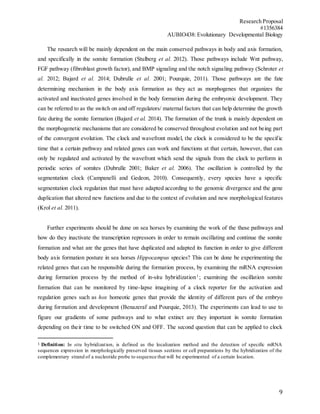 Research Proposal
#1356384
AUBIO438: Evolutionary Developmental Biology
9
The research will be mainly dependent on the main conserved pathways in body and axis formation,
and specifically in the somite formation (Stulberg et al. 2012). Those pathways include Wnt pathway,
FGF pathway (fibroblast growth factor), and BMP signaling and the notch signaling pathway (Schroter et
al. 2012; Bajard et al. 2014; Dubrulle et al. 2001; Pourquie, 2011). Those pathways are the fate
determining mechanism in the body axis formation as they act as morphogenes that organizes the
activated and inactivated genes involved in the body formation during the embryonic development. They
can be referred to as the switch on and off regulators/ maternal factors that can help determine the growth
fate during the somite formation (Bajard et al. 2014). The formation of the trunk is mainly dependent on
the morphogenetic mechanisms that are considered be conserved throughout evolution and not being part
of the convergent evolution. The clock and wavefront model, the clock is considered to be the specific
time that a certain pathway and related genes can work and functions at that certain, however, that can
only be regulated and activated by the wavefront which send the signals from the clock to perform in
periodic series of somites (Dubrulle 2001; Baker et al. 2006). The oscillation is controlled by the
segmentation clock (Campanelli and Gedeon, 2010). Consequently, every species have a specific
segmentation clock regulation that must have adapted according to the genomic divergence and the gene
duplication that altered new functions and due to the context of evolution and new morphological features
(Krol et al. 2011).
Further experiments should be done on sea horses by examining the work of the these pathways and
how do they inactivate the transcription repressors in order to remain oscillating and continue the somite
formation and what are the genes that have duplicated and adapted its function in order to give different
body axis formation posture in sea horses Hippocampus species? This can be done be experimenting the
related genes that can be responsible during the formation process, by examining the mRNA expression
during formation process by the method of in-situ hybridization1
; examining the oscillation somite
formation that can be monitored by time-lapse imagining of a clock reporter for the activation and
regulation genes such as hox homeotic genes that provide the identity of different pars of the embryo
during formation and development (Benazeraf and Pourquie, 2013). The experiments can lead to use to
figure our gradients of some pathways and to what extinct are they important in somite formation
depending on their time to be switched ON and OFF. The second question that can be applied to clock
1 Definition: In situ hybridization, is defined as the localization method and the detection of specific mRNA
sequences expression in morphologically preserved tissues sections or cell preparations by the hybridization of the
complementary strand of a nucleotide probe to sequence that will be experimented of a certain location.
 