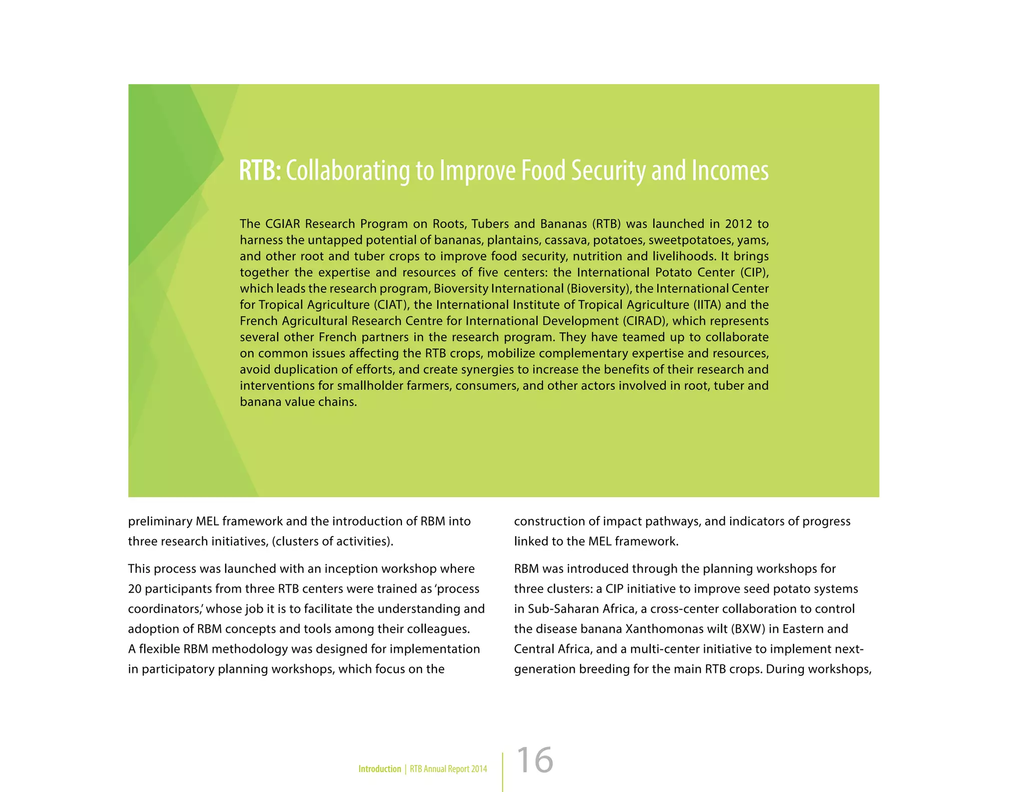 16
preliminary MEL framework and the introduction of RBM into
three research initiatives, (clusters of activities).
This process was launched with an inception workshop where
20 participants from three RTB centers were trained as ‘process
coordinators,’ whose job it is to facilitate the understanding and
adoption of RBM concepts and tools among their colleagues.
A flexible RBM methodology was designed for implementation
in participatory planning workshops, which focus on the
construction of impact pathways, and indicators of progress
linked to the MEL framework.
RBM was introduced through the planning workshops for
three clusters: a CIP initiative to improve seed potato systems
in Sub-Saharan Africa, a cross-center collaboration to control
the disease banana Xanthomonas wilt (BXW) in Eastern and
Central Africa, and a multi-center initiative to implement next-
generation breeding for the main RTB crops. During workshops,
RTB:Collaborating to Improve Food Security and Incomes
The CGIAR Research Program on Roots, Tubers and Bananas (RTB) was launched in 2012 to
harness the untapped potential of bananas, plantains, cassava, potatoes, sweetpotatoes, yams,
and other root and tuber crops to improve food security, nutrition and livelihoods. It brings
together the expertise and resources of five centers: the International Potato Center (CIP),
which leads the research program, Bioversity International (Bioversity), the International Center
for Tropical Agriculture (CIAT), the International Institute of Tropical Agriculture (IITA) and the
French Agricultural Research Centre for International Development (CIRAD), which represents
several other French partners in the research program. They have teamed up to collaborate
on common issues affecting the RTB crops, mobilize complementary expertise and resources,
avoid duplication of efforts, and create synergies to increase the benefits of their research and
interventions for smallholder farmers, consumers, and other actors involved in root, tuber and
banana value chains.
Introduction | RTB Annual Report 2014
 