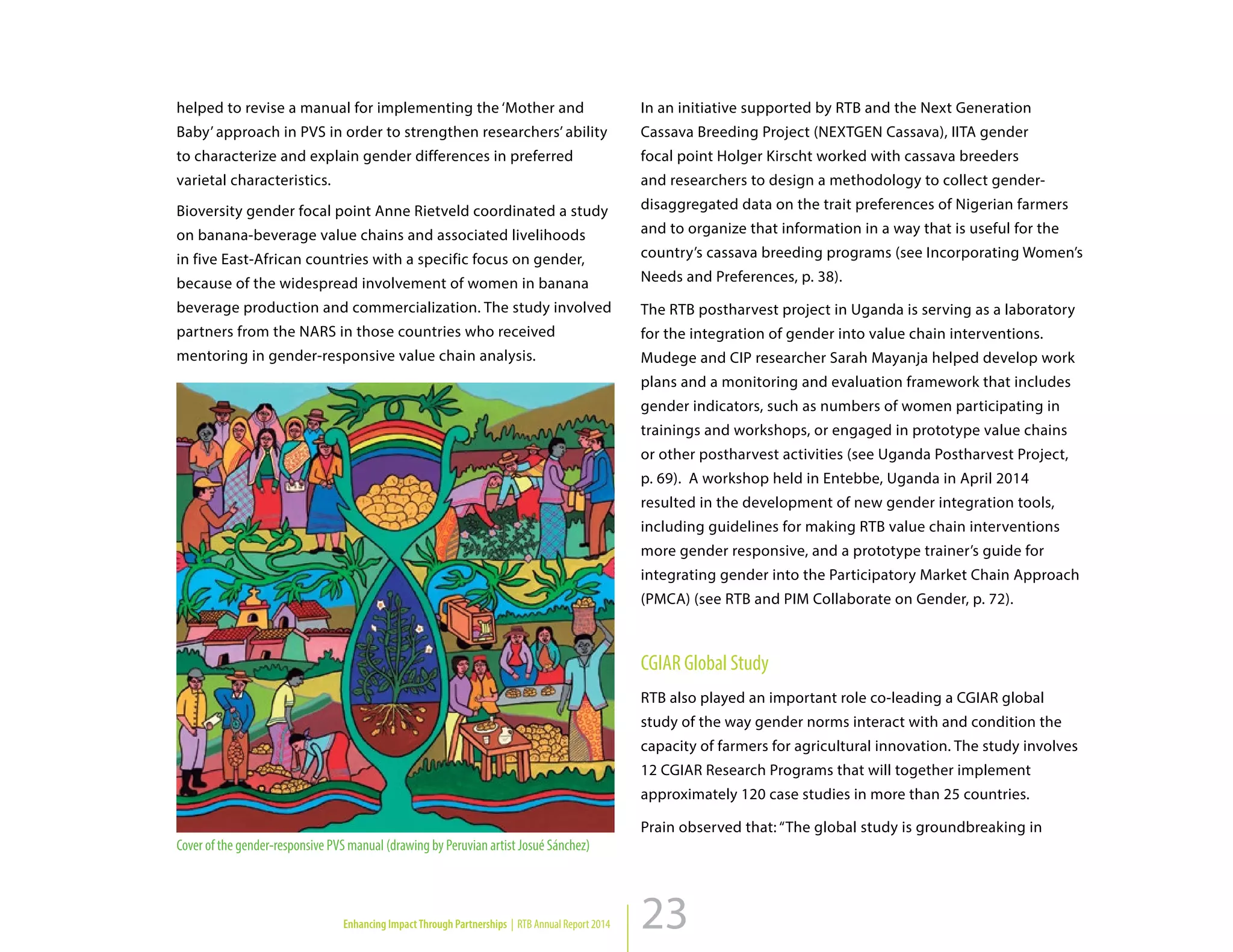 23
Cover of the gender-responsive PVS manual (drawing by Peruvian artist Josué Sánchez)
helped to revise a manual for implementing the ‘Mother and
Baby’ approach in PVS in order to strengthen researchers’ ability
to characterize and explain gender differences in preferred
varietal characteristics.
Bioversity gender focal point Anne Rietveld coordinated a study
on banana-beverage value chains and associated livelihoods
in five East-African countries with a specific focus on gender,
because of the widespread involvement of women in banana
beverage production and commercialization. The study involved
partners from the NARS in those countries who received
mentoring in gender-responsive value chain analysis.
In an initiative supported by RTB and the Next Generation
Cassava Breeding Project (NEXTGEN Cassava), IITA gender
focal point Holger Kirscht worked with cassava breeders
and researchers to design a methodology to collect gender-
disaggregated data on the trait preferences of Nigerian farmers
and to organize that information in a way that is useful for the
country’s cassava breeding programs (see Incorporating Women’s
Needs and Preferences, p. 38).
The RTB postharvest project in Uganda is serving as a laboratory
for the integration of gender into value chain interventions.
Mudege and CIP researcher Sarah Mayanja helped develop work
plans and a monitoring and evaluation framework that includes
gender indicators, such as numbers of women participating in
trainings and workshops, or engaged in prototype value chains
or other postharvest activities (see Uganda Postharvest Project,
p. 69). A workshop held in Entebbe, Uganda in April 2014
resulted in the development of new gender integration tools,
including guidelines for making RTB value chain interventions
more gender responsive, and a prototype trainer’s guide for
integrating gender into the Participatory Market Chain Approach
(PMCA) (see RTB and PIM Collaborate on Gender, p. 72).
CGIAR Global Study
RTB also played an important role co-leading a CGIAR global
study of the way gender norms interact with and condition the
capacity of farmers for agricultural innovation. The study involves
12 CGIAR Research Programs that will together implement
approximately 120 case studies in more than 25 countries.
Prain observed that: “The global study is groundbreaking in
Enhancing ImpactThrough Partnerships | RTB Annual Report 2014
 