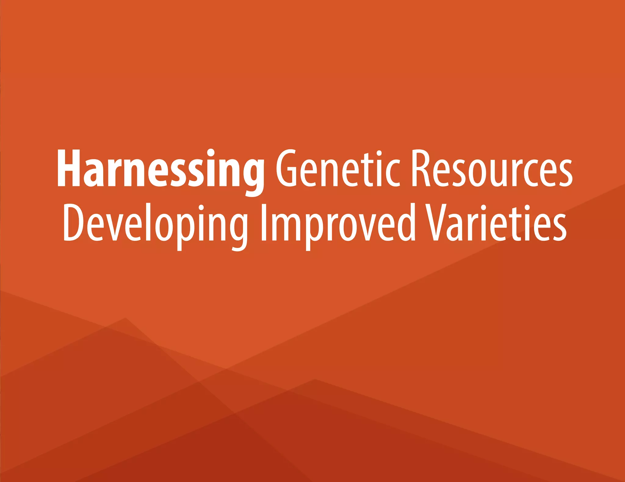 27
Harnessing Genetic Resources
Developing ImprovedVarieties
 