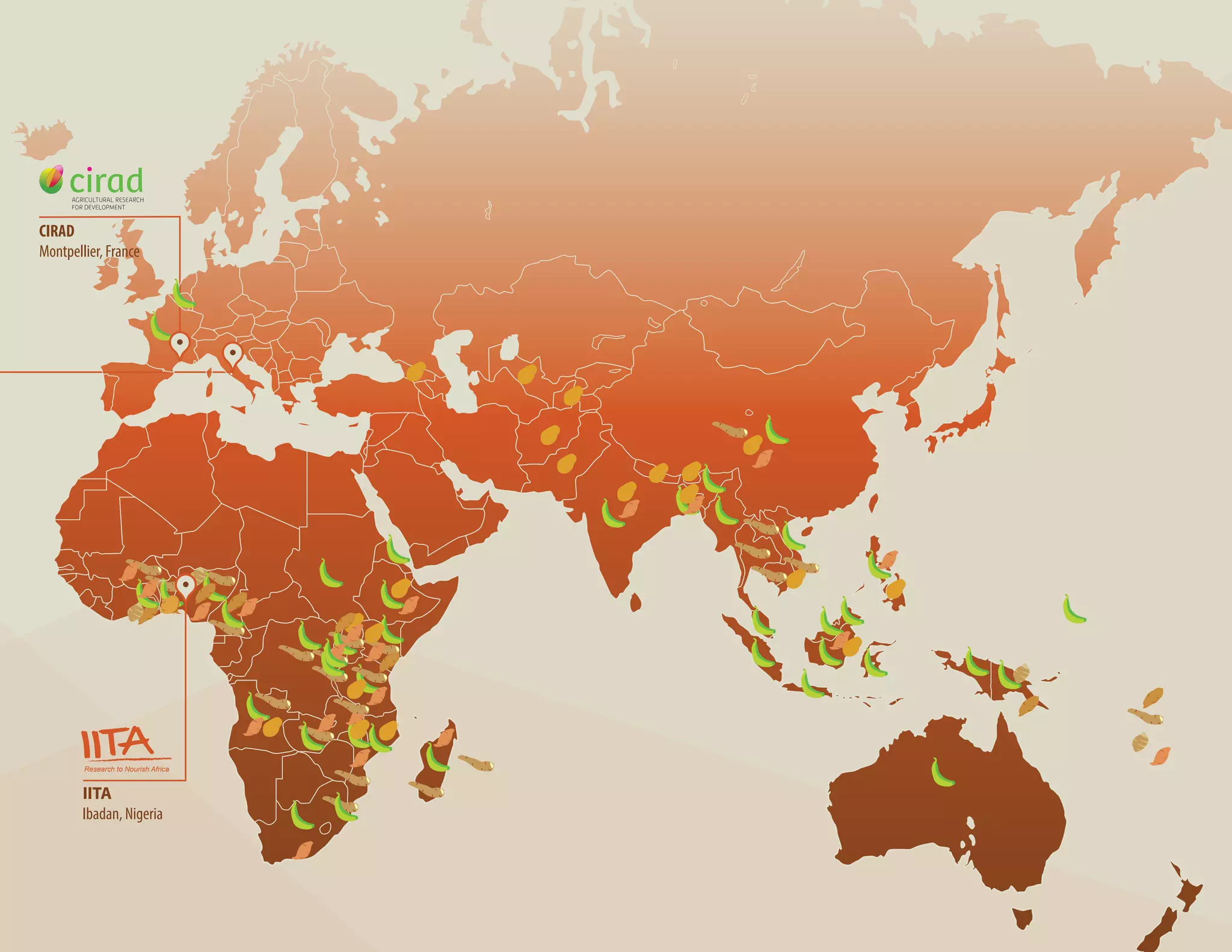Research to Nourish Africa
IITA
Ibadan, Nigeria
CIRAD
Montpellier, France
 