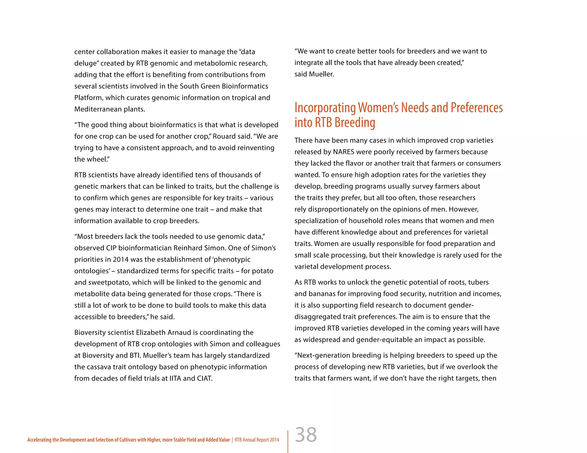 38
“We want to create better tools for breeders and we want to
integrate all the tools that have already been created,”		
said Mueller.
IncorporatingWomen’s Needs and Preferences
into RTB Breeding
There have been many cases in which improved crop varieties
released by NARES were poorly received by farmers because
they lacked the flavor or another trait that farmers or consumers
wanted. To ensure high adoption rates for the varieties they
develop, breeding programs usually survey farmers about
the traits they prefer, but all too often, those researchers
rely disproportionately on the opinions of men. However,
specialization of household roles means that women and men
have different knowledge about and preferences for varietal
traits. Women are usually responsible for food preparation and
small scale processing, but their knowledge is rarely used for the
varietal development process.
As RTB works to unlock the genetic potential of roots, tubers
and bananas for improving food security, nutrition and incomes,
it is also supporting field research to document gender-
disaggregated trait preferences. The aim is to ensure that the
improved RTB varieties developed in the coming years will have
as widespread and gender-equitable an impact as possible.
“Next-generation breeding is helping breeders to speed up the
process of developing new RTB varieties, but if we overlook the
traits that farmers want, if we don’t have the right targets, then
center collaboration makes it easier to manage the “data
deluge” created by RTB genomic and metabolomic research,
adding that the effort is benefiting from contributions from
several scientists involved in the South Green Bioinformatics
Platform, which curates genomic information on tropical and
Mediterranean plants.
“The good thing about bioinformatics is that what is developed
for one crop can be used for another crop,” Rouard said. “We are
trying to have a consistent approach, and to avoid reinventing
the wheel.”
RTB scientists have already identified tens of thousands of
genetic markers that can be linked to traits, but the challenge is
to confirm which genes are responsible for key traits – various
genes may interact to determine one trait – and make that
information available to crop breeders.
“Most breeders lack the tools needed to use genomic data,”
observed CIP bioinformatician Reinhard Simon. One of Simon’s
priorities in 2014 was the establishment of ‘phenotypic
ontologies’ – standardized terms for specific traits – for potato
and sweetpotato, which will be linked to the genomic and
metabolite data being generated for those crops. “There is
still a lot of work to be done to build tools to make this data
accessible to breeders,” he said.
Bioversity scientist Elizabeth Arnaud is coordinating the
development of RTB crop ontologies with Simon and colleagues
at Bioversity and BTI. Mueller’s team has largely standardized
the cassava trait ontology based on phenotypic information
from decades of field trials at IITA and CIAT.
Accelerating the Development and Selection of Cultivars with Higher, more StableYield and AddedValue | RTB Annual Report 2014
 