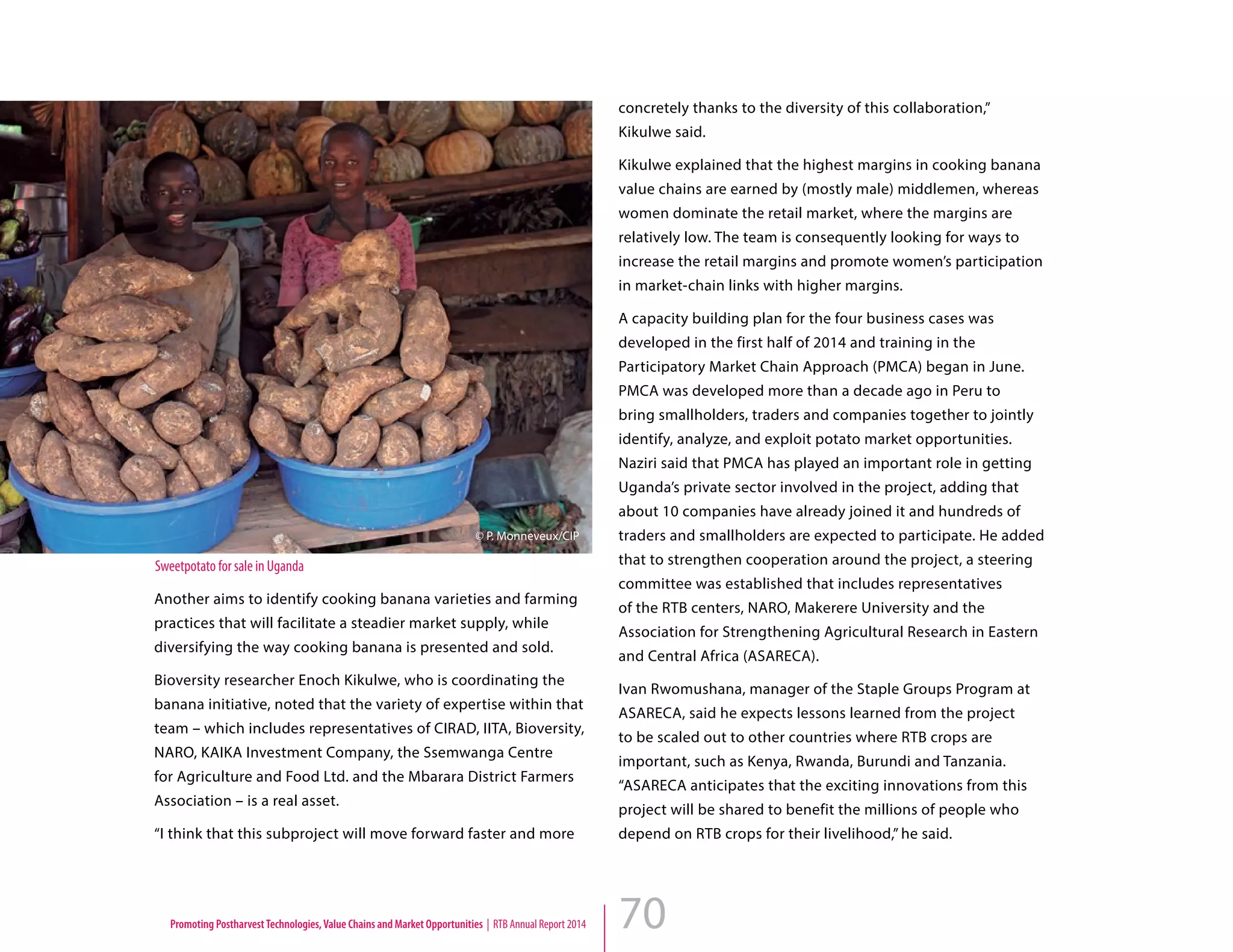 70
Another aims to identify cooking banana varieties and farming
practices that will facilitate a steadier market supply, while
diversifying the way cooking banana is presented and sold.
Bioversity researcher Enoch Kikulwe, who is coordinating the
banana initiative, noted that the variety of expertise within that
team – which includes representatives of CIRAD, IITA, Bioversity,
NARO, KAIKA Investment Company, the Ssemwanga Centre
for Agriculture and Food Ltd. and the Mbarara District Farmers
Association – is a real asset.
“I think that this subproject will move forward faster and more
concretely thanks to the diversity of this collaboration,”
Kikulwe said.
Kikulwe explained that the highest margins in cooking banana
value chains are earned by (mostly male) middlemen, whereas
women dominate the retail market, where the margins are
relatively low. The team is consequently looking for ways to
increase the retail margins and promote women’s participation
in market-chain links with higher margins.
A capacity building plan for the four business cases was
developed in the first half of 2014 and training in the
Participatory Market Chain Approach (PMCA) began in June.
PMCA was developed more than a decade ago in Peru to
bring smallholders, traders and companies together to jointly
identify, analyze, and exploit potato market opportunities.
Naziri said that PMCA has played an important role in getting
Uganda’s private sector involved in the project, adding that
about 10 companies have already joined it and hundreds of
traders and smallholders are expected to participate. He added
that to strengthen cooperation around the project, a steering
committee was established that includes representatives
of the RTB centers, NARO, Makerere University and the
Association for Strengthening Agricultural Research in Eastern
and Central Africa (ASARECA).
Ivan Rwomushana, manager of the Staple Groups Program at
ASARECA, said he expects lessons learned from the project
to be scaled out to other countries where RTB crops are
important, such as Kenya, Rwanda, Burundi and Tanzania.
“ASARECA anticipates that the exciting innovations from this
project will be shared to benefit the millions of people who
depend on RTB crops for their livelihood,” he said.
Sweetpotato for sale in Uganda
© P. Monneveux/CIP
Promoting PostharvestTechnologies,Value Chains and Market Opportunities | RTB Annual Report 2014
 