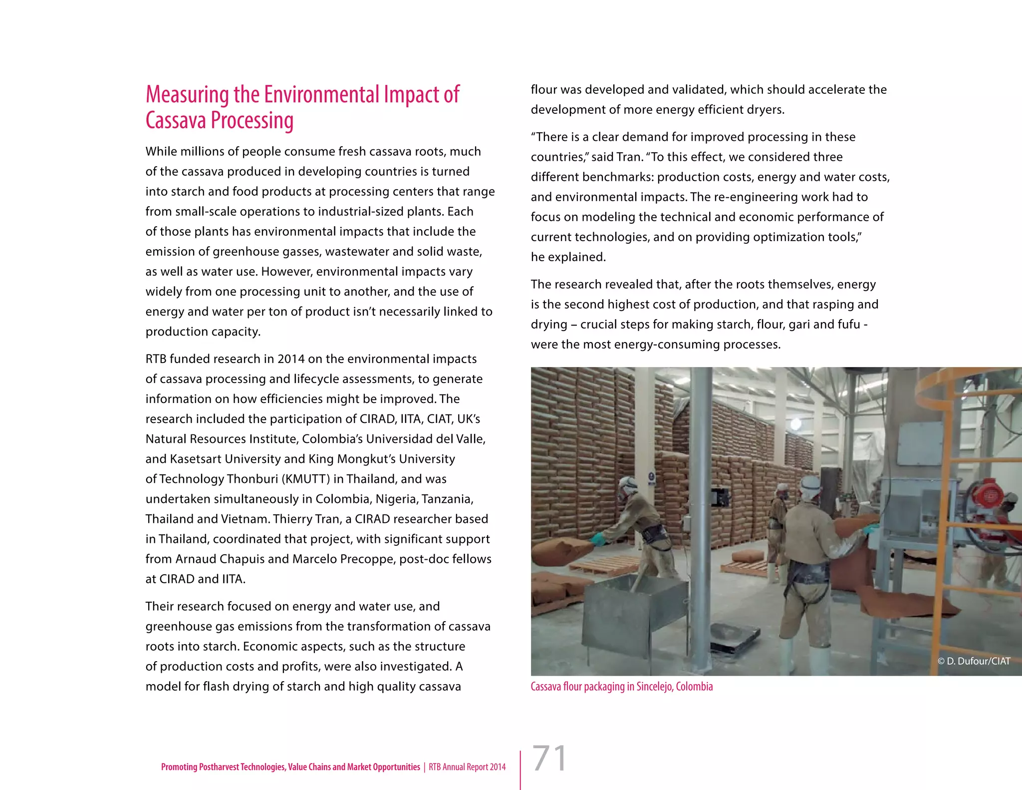 71
Measuring the Environmental Impact of
Cassava Processing
While millions of people consume fresh cassava roots, much
of the cassava produced in developing countries is turned
into starch and food products at processing centers that range
from small-scale operations to industrial-sized plants. Each
of those plants has environmental impacts that include the
emission of greenhouse gasses, wastewater and solid waste,
as well as water use. However, environmental impacts vary
widely from one processing unit to another, and the use of
energy and water per ton of product isn’t necessarily linked to
production capacity.
RTB funded research in 2014 on the environmental impacts
of cassava processing and lifecycle assessments, to generate
information on how efficiencies might be improved. The
research included the participation of CIRAD, IITA, CIAT, UK’s
Natural Resources Institute, Colombia’s Universidad del Valle,
and Kasetsart University and King Mongkut’s University
of Technology Thonburi (KMUTT) in Thailand, and was
undertaken simultaneously in Colombia, Nigeria, Tanzania,
Thailand and Vietnam. Thierry Tran, a CIRAD researcher based
in Thailand, coordinated that project, with significant support
from Arnaud Chapuis and Marcelo Precoppe, post-doc fellows
at CIRAD and IITA.
Their research focused on energy and water use, and
greenhouse gas emissions from the transformation of cassava
roots into starch. Economic aspects, such as the structure
of production costs and profits, were also investigated. A
model for flash drying of starch and high quality cassava
flour was developed and validated, which should accelerate the
development of more energy efficient dryers.
“There is a clear demand for improved processing in these
countries,” said Tran. “To this effect, we considered three
different benchmarks: production costs, energy and water costs,
and environmental impacts. The re-engineering work had to
focus on modeling the technical and economic performance of
current technologies, and on providing optimization tools,” 	
he explained.
The research revealed that, after the roots themselves, energy
is the second highest cost of production, and that rasping and
drying – crucial steps for making starch, flour, gari and fufu -
were the most energy-consuming processes.
Cassava flour packaging in Sincelejo, Colombia
© D. Dufour/CIAT
Promoting PostharvestTechnologies,Value Chains and Market Opportunities | RTB Annual Report 2014
 
