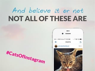 And believe it or not
NOT ALL OF THESE ARE
#CatsOfInstagram
 