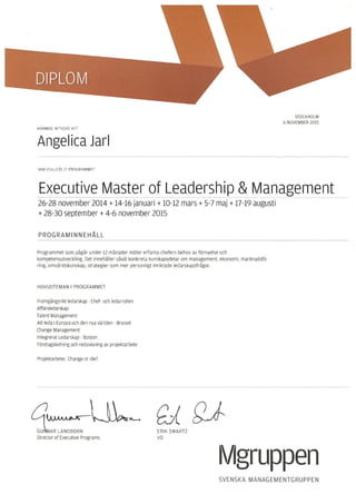 Diplom Executive Master of Leadership & Management