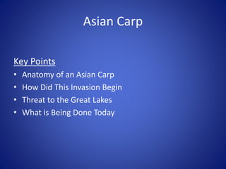 Asian Carp Invasion | PPTX