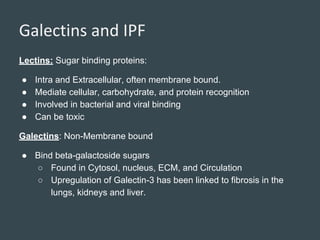 Lectins: Sugar binding proteins:
● Intra and Extracellular, often membrane bound.
● Mediate cellular, carbohydrate, and protein recognition
● Involved in bacterial and viral binding
● Can be toxic
Galectins: Non-Membrane bound
● Bind beta-galactoside sugars
○ Found in Cytosol, nucleus, ECM, and Circulation
○ Upregulation of Galectin-3 has been linked to fibrosis in the
lungs, kidneys and liver.
Galectins and IPF
 