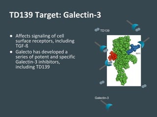 ● Affects signaling of cell
surface receptors, including
TGF-ß
● Galecto has developed a
series of potent and specific
Galectin-3 inhibitors,
including TD139
TD139 Target: Galectin-3
Galectin-3
TD139
 