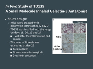 ● Study design:
○ Mice were treated with
bleomycin intratracheally day 0
○ TD139 was instilled into the lungs
on days 18, 20, 22 and 24
■ – well after the inflammation had
ceased
○ The level of fibrosis was
evaluated at day 26
■ Total collagen
■ Fibrosis score (histological)
■ β−catenin activation
In Vivo Study of TD139
A Small Molecule Inhaled Galectin-3 Antagonist
 