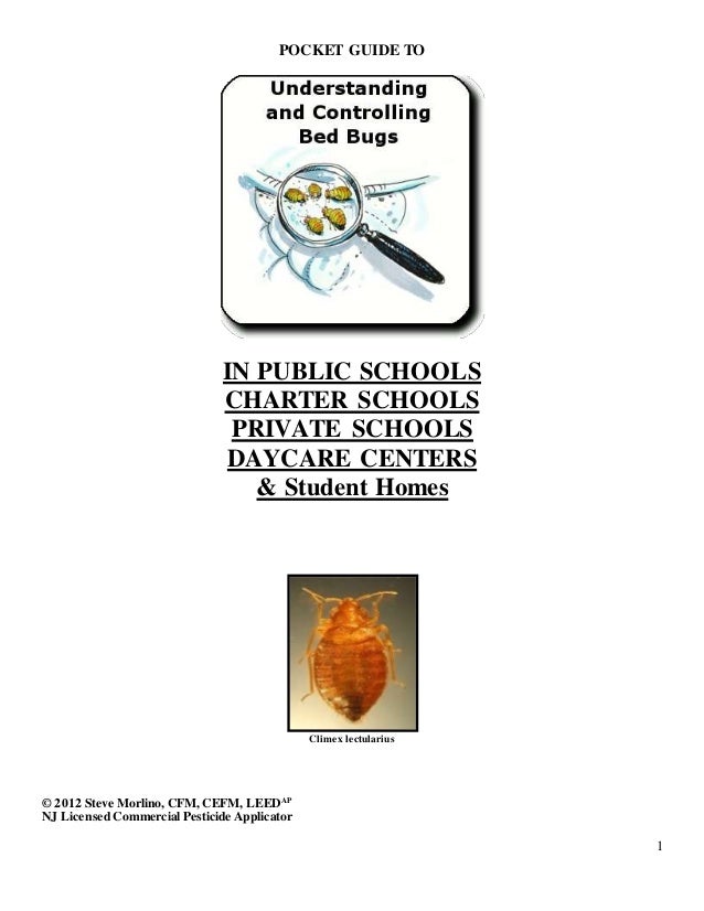 Bed Bug Guide for Schools with additional graphics for A5 format