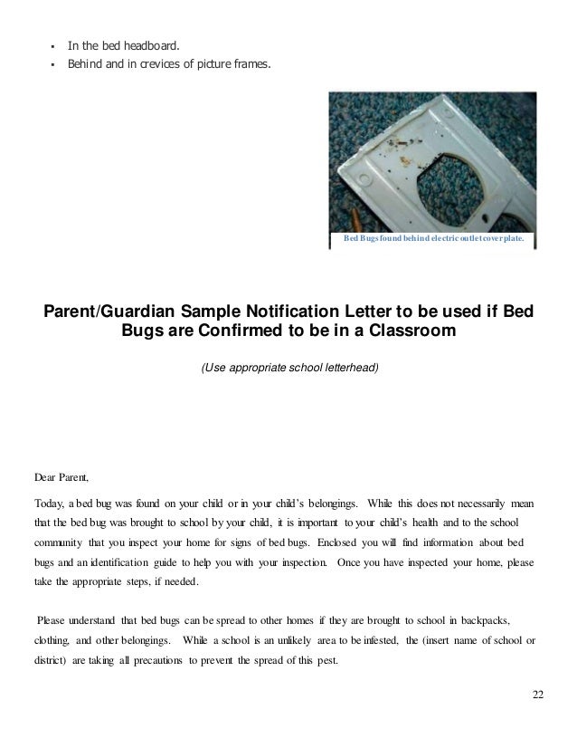 bed bug guide for schools with additional graphics for a5 format bed bug letter to parents