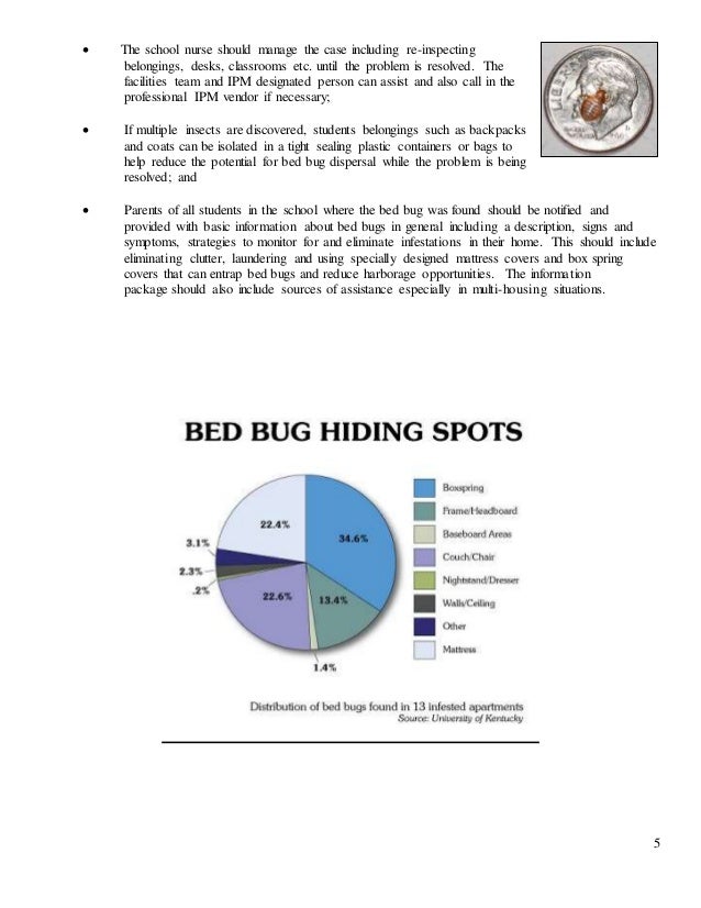 Bed Bug Guide for Schools with additional graphics for A5 format
