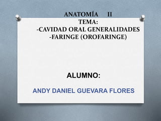 ANATOMÍA II
TEMA:
-CAVIDAD ORAL GENERALIDADES
-FARINGE (OROFARINGE)
ALUMNO:
ANDY DANIEL GUEVARA FLORES
 