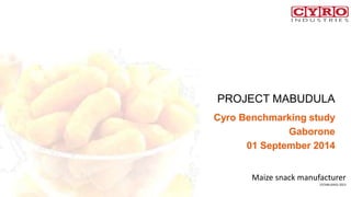 PROJECT MABUDULA
Cyro Benchmarking study
Gaborone
01 September 2014
Maize snack manufacturer
ESTABLISHED 2013
 