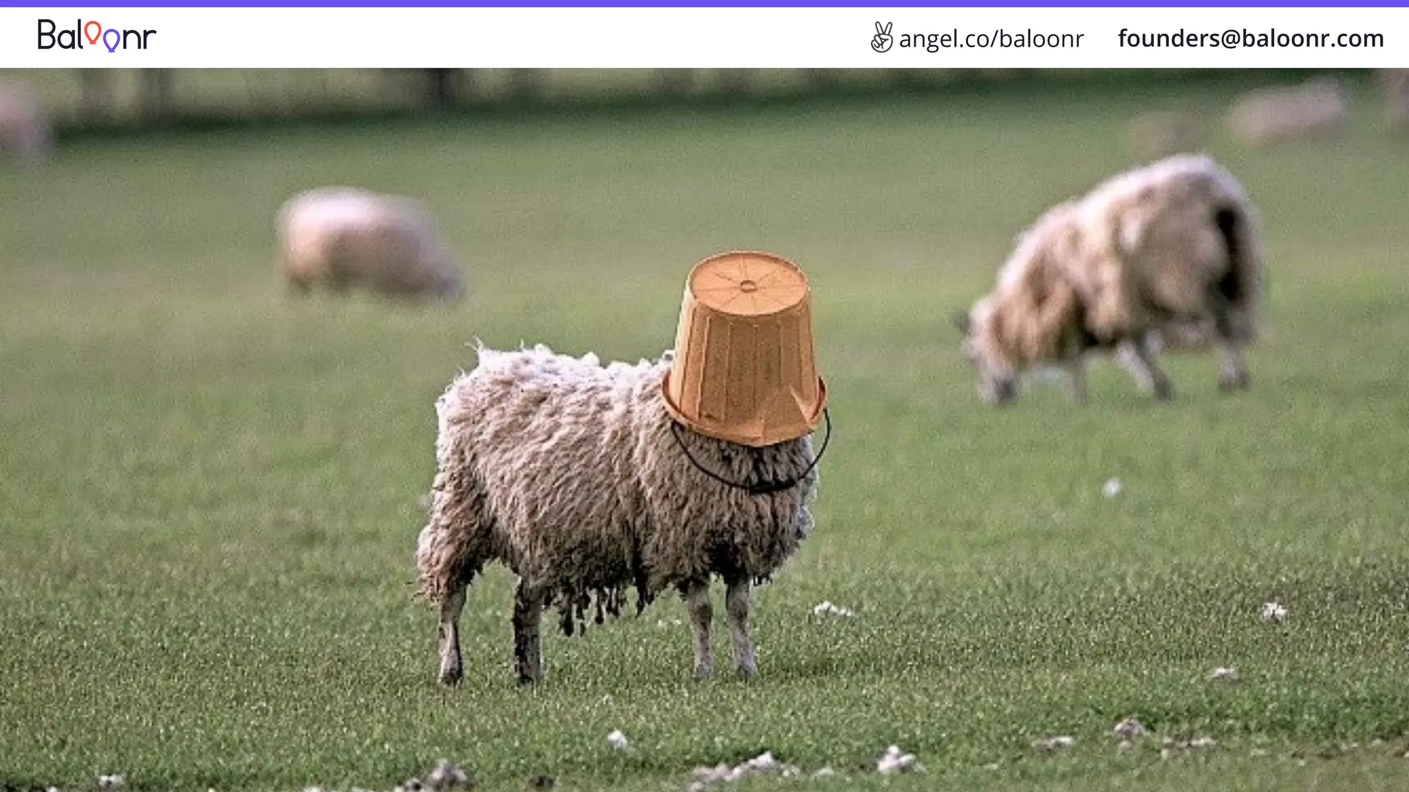 founders@baloonr.comangel.co/baloonr
 