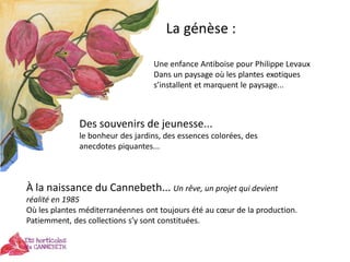 La génèse :
Une enfance Antiboise pour Philippe Levaux
Dans un paysage où les plantes exotiques
s’installent et marquent l...
