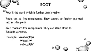 5 base root and stem | PDF