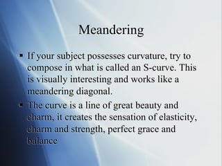 Meandering
§  If your subject possesses curvature, try to
compose in what is called an S-curve. This
is visually interesting and works like a
meandering diagonal.
§  The curve is a line of great beauty and
charm, it creates the sensation of elasticity,
charm and strength, perfect grace and
balance

 