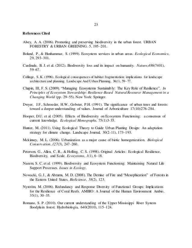 Economics senior thesis examples picture