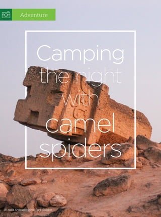 Al balid Archaeological Park Salalah
Camping
the night
with
camel
spiders
Adventure
 