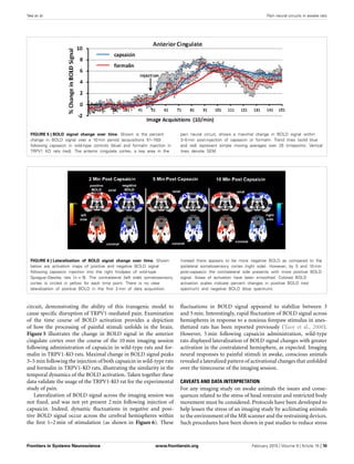 Yee et al. Pain neural circuits in awake rats
FIGURE 5 | BOLD signal change over time. Shown is the percent
change in BOLD signal over a 10 min period (acquisitions 51–150)
following capsaicin in wild-type controls (blue) and formalin injection in
TRPV1 KO rats (red). The anterior cingulate cortex, a key area in the
pain neural circuit, shows a maximal change in BOLD signal within
3–5 min post-injection of capsaicin or formalin. Trend lines (solid blue
and red) represent simple moving averages over 25 timepoints. Vertical
lines denote SEM.
FIGURE 6 | Lateralization of BOLD signal change over time. Shown
below are activation maps of positive and negative BOLD signal
following capsaicin injection into the right hindpaw of wild-type
Sprague–Dawley rats (n = 9). The contralateral (left side) somatosensory
cortex is circled in yellow for each time point. There is no clear
lateralization of positive BOLD in the ﬁrst 2 min of data acquisition.
Instead there appears to be more negative BOLD as compared to the
ipsilateral somatosensory cortex (right side). However, by 5 and 10 min
post-capsaicin the contralateral side presents with more positive BOLD
signal. Areas of activation have been smoothed. Colored BOLD
activation scales indicate percent changes in positive BOLD (red
spectrum) and negative BOLD (blue spectrum).
circuit, demonstrating the ability of this transgenic model to
cause speciﬁc disruption of TRPV1-mediated pain. Examination
of the time course of BOLD activation provides a depiction
of how the processing of painful stimuli unfolds in the brain.
Figure 5 illustrates the change in BOLD signal in the anterior
cingulate cortex over the course of the 10 min imaging session
following administration of capsaicin in wild-type rats and for-
malin in TRPV1-KO rats. Maximal change in BOLD signal peaks
3–5 min following the injection of both capsaicin in wild-type rats
and formalin in TRPV1-KO rats, illustrating the similarity in the
temporal dynamics of the BOLD activation. Taken together these
data validate the usage of the TRPV1-KO rat for the experimental
study of pain.
Lateralization of BOLD signal across the imaging session was
not ﬁxed, and was not yet present 2 min following injection of
capsaicin. Indeed, dynamic ﬂuctuations in negative and posi-
tive BOLD signal occur across the cerebral hemispheres within
the ﬁrst 1–2 min of stimulation (as shown in Figure 6). These
ﬂuctuations in BOLD signal appeared to stabilize between 3
and 5 min. Interestingly, rapid ﬂuctuation of BOLD signal across
hemispheres in response to a noxious forepaw stimulus in anes-
thetized rats has been reported previously (Tuor et al., 2000).
However, 5 min following capsaicin administration, wild-type
rats displayed lateralization of BOLD signal changes with greater
activation in the contralateral hemisphere, as expected. Imaging
neural responses to painful stimuli in awake, conscious animals
revealed a lateralized pattern of activational changes that unfolded
over the timecourse of the imaging session.
CAVEATS AND DATA INTERPRETATION
For any imaging study on awake animals the issues and conse-
quences related to the stress of head restraint and restricted body
movement must be considered. Protocols have been developed to
help lessen the stress of an imaging study by acclimating animals
to the environment of the MR scanner and the restraining devices.
Such procedures have been shown in past studies to reduce stress
Frontiers in Systems Neuroscience www.frontiersin.org February 2015 | Volume 9 | Article 15 | 10
 