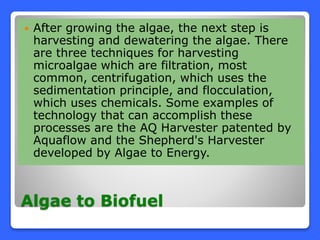 Algae to Biofuel
 After growing the algae, the next step is
harvesting and dewatering the algae. There
are three techniques for harvesting
microalgae which are filtration, most
common, centrifugation, which uses the
sedimentation principle, and flocculation,
which uses chemicals. Some examples of
technology that can accomplish these
processes are the AQ Harvester patented by
Aquaflow and the Shepherd's Harvester
developed by Algae to Energy.
 
