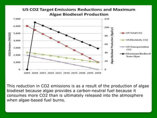 This reduction in CO2 emissions is as a result of the production of algae
biodiesel because algae provides a carbon-neutral fuel because it
consumes more CO2 than is ultimately released into the atmosphere
when algae-based fuel burns.
 