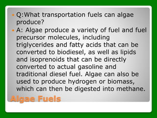  Q:What transportation fuels can algae
produce?
 A: Algae produce a variety of fuel and fuel
precursor molecules, including
triglycerides and fatty acids that can be
converted to biodiesel, as well as lipids
and isoprenoids that can be directly
converted to actual gasoline and
traditional diesel fuel. Algae can also be
used to produce hydrogen or biomass,
which can then be digested into methane.
Algae Fuels
 