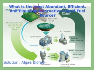 What is the most Abundant, Efficient,
and Plausible Alternative Liquid Fuel
Source?
Solution: Algae Biofuel
 
