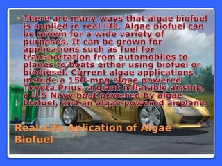 Real-Life Aplication of Algae
Biofuel
 
