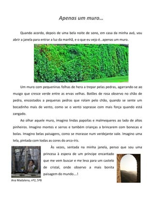 Apenas um muro…
Quando acordo, depois de uma bela noite de sono, em casa da minha avó, vou
abrir a janela para entrar a luz da manhã, e o que eu vejo é…apenas um muro.
Um muro com pequeninas folhas de hera a trepar pelas pedras, agarrando-se ao
musgo que cresce verde entre as ervas velhas. Botões de rosa observo no chão de
pedra, encostados a pequenas pedras que rolam pelo chão, quando se sente um
bocadinho mais de vento, como se o vento soprasse com mais força quando está
zangado.
Ao olhar aquele muro, imagino lindas papoilas e malmequeres ao lado de altos
pinheiros. Imagino montes e serras e também crianças a brincarem com bonecas e
bolas. Imagino belas paisagens, como se morasse num verdejante vale. Imagino uma
tela, pintada com todas as cores do arco-íris.
Às vezes, sentada na minha janela, penso que sou uma
princesa à espera de um príncipe encantado
que me vem buscar e me leva para um castelo
de cristal, onde observo a mais bonita
paisagem do mundo….!
Ana Madalena, nº2, 5ºB
 