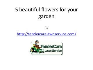 5 beautiful flowers for your
garden
BY
http://tendercarelawnservice.com/
 