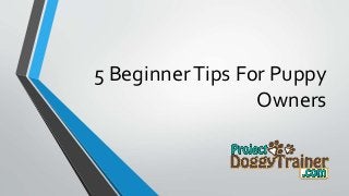 5 BeginnerTips For Puppy
Owners
 