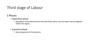 Third stage of Labour
2 Phases
• Separation phase
• Separation of the placenta from the wall of the uterus into the lower uterine segment
and/or the vagina
• Expulsion phase
• Actual expulsion of the placenta
 