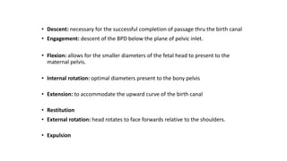• Descent: necessary for the successful completion of passage thru the birth canal
• Engagement: descent of the BPD below the plane of pelvic inlet.
• Flexion: allows for the smaller diameters of the fetal head to present to the
maternal pelvis.
• Internal rotation: optimal diameters present to the bony pelvis
• Extension: to accommodate the upward curve of the birth canal
• Restitution
• External rotation: head rotates to face forwards relative to the shoulders.
• Expulsion
 