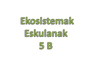 Ekosistemak eskulanak b taldea