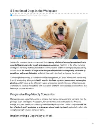 5 Benefits of Dogs in the Workplace
petdoorproducts.com/5-benefits-of-dogs-in-the-workplace
Successful business owners understand that creating a balanced atmosphere at the office is
essential to promote better morale and reduce absenteeism. Positivity in the office nurtures
contagious harmony that results in better communication and trust for improved productivity.
Studies show the benefits of dogs in the workplace help balance out negativity and stress by
providing a welcomed distraction and reminding us to step back and pause for a break.
According to the Society of Human Resource Management, 8% of US workplaces have a dog-
friendly work policy. Along with health benefits like lowering blood pressure and encouraging
physical activity, dogs at the office give us an unexpected benefit. Because of their dogs, co-
workers have positive interactions with each other and form beneficial social connections that
boosts productive teamwork.
Progressive Dog-Friendly Companies
Many employees enjoy the benefits of bringing their canine companions to work and view the
privilege as an added perk. Progressive, forward-thinking tech institutions like Amazon,
Google, Etsy, and Salesforce boast dog-friendly workplace policies. These companies use the
lure of a dog-friendly workplace to actively recruit and retain top talent, particularly millennials
who place a high value on company perks.
Implementing a Dog Policy at Work
1/3
 