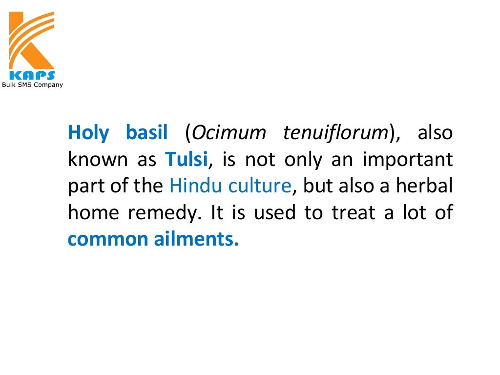 5 benefits of the holy basil (tulsi)