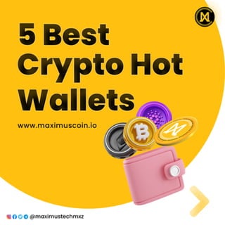 5 best Crypto hot wallets