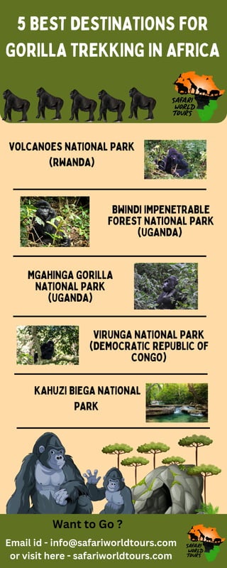 5 BEST DESTINATIONS FOR
GORILLA TREKKING IN AFRICA
KAHUZI BIEGA NATIONAL
PARK
VOLCANOES NATIONAL PARK
(RWANDA)
BWINDI IMPENETRABLE
FOREST NATIONAL PARK
(UGANDA)
MGAHINGA GORILLA
NATIONAL PARK
(UGANDA)
VIRUNGA NATIONAL PARK
(DEMOCRATIC REPUBLIC OF
CONGO)
Want to Go ?
Email id - info@safariworldtours.com
or visit here - safariworldtours.com
 