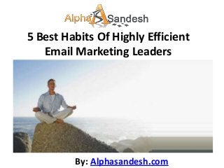5 Best Habits Of Highly Efficient
   Email Marketing Leaders




         By: Alphasandesh.com
 