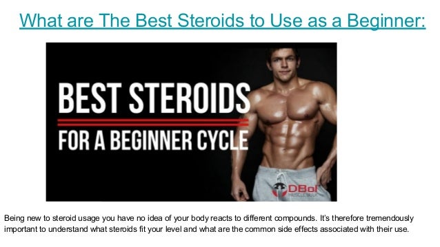 5 Best Steroid Cycles For Beginners