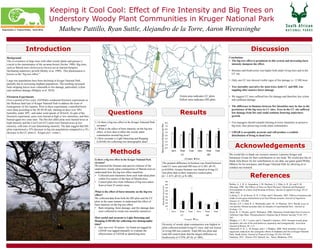 1.) Is there a big tree effect in the Kruger National Park
savanna?
2.) What is the effect of burn intensity on the big tree
effect, or how does it affect the woody plant
communities around big trees?
3.) How accurate is Light Detecting and Ranging
(LIDAR) for collecting tree demographic data?
Results
Mathew Pattillo, Ryan Suttle, Alejandro de la Torre, Aaron Weerasinghe
Introduction
Methods
Keeping it Cool Cool: Effect of Fire Intensity and Big Trees on
Understory Woody Plant Communities in Kruger National Park
Discussion
Acknowledgements
References
Background
The co-existence of large trees with other woody plants and grasses is
crucial to the maintenance of the savanna biome (Archer 1988). Big trees,
such as Marula trees (Sclerocarya birrea) act as nutrient hotspots,
facilitating understory growth (Belsky et at. 1989). This phenomenon is
known as the “big tree effect.”
Large tree populations have been declining in Kruger National Park,
partially due to increasing elephant populations. The resulting increased
bark-stripping leaves trees vulnerable to fire damage, particularly xylem
and cambium damage (Midgley et al. 2010).
Firestorm Experiments
Over a period of five years, SANParks conducted firestorm experiments in
the Skukuza land type of Kruger National Park to address the issue of
homogeneity of fire regimes. Prior to these experiments, controlled burns
were done according to the 30-30-30 rule: burning on days over 30%
humidity, under 30ºC, and under wind speeds of 30 km/h. As part of the
firestorm experiment, areas were burned at high or low intensities, and then
burned again two years later. The Hot Hot (HH) plots were burned twice at
high intensity and the Cool Cool (CC) plots were burned twice at low
intensity, with time of year determining intensity. The data suggest that HH
plots experienced a 35% decrease in big tree populations compared to a 3%
decrease in the CC plots (L. Kruger pers. comm.).
Belsky, A. J., R. G. Amundson, J. M. Duxbury, S. J. Riha, A. R. Ali, and S. M.
Mwonga. 1989. The Effects of Trees on Their Physical, Chemical and Biological
Environments in a Semi-Arid Savanna in Kenya. Journal of Applied Ecology 26 (3):
1005-1024.
Ludwig, F., H. de Kroon, H. H. T. Prins, and F. Berendse. 2001. Effects of nutrients and
shade on tree-grass interactions in an East African savanna. Journal of Vegetation
Science 12: 579-588.
Devine, A.P., I. Stott, R. A. McDonald, and I. M . D. Maclean. 2015. Woody cover in
wet and dry African savannas after six decades of experimental fires. Journal of
Ecology: 1-6.
Koch, B., U. Heyder, and H. Welnacker. 2006. Detection of Individual Tree Crowns in
Airborne Lidar Data. Photogrammetric Engineering & Remote Sensing 72 (4): 357-
363.
Midgley, J. J., M. J. Lawes, and S. Chamaill é-Jammes. 2010. Savanna woody plant
dynamics: the role of fire and herbivory separately and synergistically. Australian
Journal of Botany 58: 1-11.
Moncrieff, G. R., L. M. Kruger, and J. J. Midgley. 2008. Stem mortality of Acacia
nigrescens induced by the synergistic effects of elephants and fire in Kruger National
Park, South Africa. Journal of Tropical Ecology 24 (16): 655-662
Statistica. 2011. Version 10.0. Statsoft, Inc., Tulsa, Oklahoma, USA.
Is there a big tree effect in the Kruger National Park
savanna?
We assessed the biomass and species richness of the
understory woody plant communities of Marula trees to
understand how the big tree effect manifests.
• Collected stem diameters from each individual plant
within five meters of the base of Marula trees
• Control plots free from influence of big trees taken
from at least 25 meters away
What is the effect of burn intensity on the big tree
effect?
We collected data from both the HH plots and the CC
plots in the same manner to understand the effect of
burn intensity on the big tree effect.
• Bark stripping, borer damage, and fire damage data
were collected to create tree mortality narratives
How useful and accurate is Light Detecting and
Ranging (LIDAR) for collecting tree demographic
data?
• Any tree over 10 meters we found not tagged by
LIDAR was tagged manually to evaluate the
effectiveness of LIDAR at identifying trees.
We would like to thank our resource mentors Laurence Kruger and
Immanuel Zwane for their contributions to our study. We would also like to
thank Julia Boyer for her contributions to our data, our game guard Phillip
Mhlava for his assistance, and Kruger National Park for allowing us to
conduct our research.
Conclusions
• The big tree effect is prominent in this system and increasing burn
intensity dampens the effect.
• Biomass and biodiversity was higher both under living trees and in the
CC site.
• Only one CC tree showed visible signs of fire damage vs. 12 HH trees
• Tree mortality narrative for most trees, both CC and HH, was
toppling after massive borer damage
• We suggest CC trees suffered less fire damage and therefore less xylem
and cambium damage
• The difference in biomass between fire intensities may be due to the
persistence of the big trees in CC sites. Trees in the CC site suffered
less damage from fire and could continue fostering understory
growth.
• Fire managers should consider burning at lower intensities to preserve
big trees, thus preserving woody plant communities.
• LIDAR is acceptably accurate and will produce a realistic
distribution of living to dead trees
The greatest difference in biomass was found between
total CC trees and total HH trees (t=2.285, df=35,
p=0.0284). Greater biomass was found in living CC
tree plots than in their respective control plots
(t= -1.673, df=22, p=0.108).
Diversity of woody plant communities was highest in
plots collected around living CC trees, and was lowest
in living HH tree controls. Total HH tree plots and
total HH control plots had the largest difference in
biodiversity (t=2.970, df=36, p=.005).
Green area indicates CC plots
Yellow area indicates HH plots
Questions
 