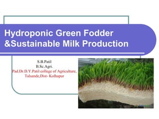 Hydroponic Green Fodder
&Sustainable Milk Production
S.B.Patil
B.Sc.Agri.
Pad.Dr.D.Y.Patil college of Agriculture,
Talsande,Dist- Kolhapur
 