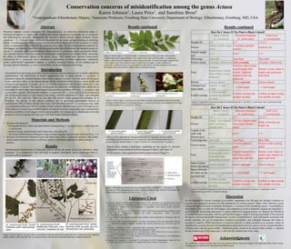 Unregulated herb harvesting poses dual threats of species endangerment as well as herbal supplement
contamination. The adulteration of herbal supplements such as black cohosh, A. racemosa, is
commonly caused by misidentification errors within a genus or family2. As is the case with the genus
Actaea and many others in the Ranunculaceae family, misidentification can have severe health and
ecological consequences. Currently, up to 1 in 4 herbal supplement sold as black cohosh are in fact
another species of Actaea4. Two species of this genus are commonly mistaken for black cohosh due to
similarities of native range and morphological characteristics including doll’s-eye, A. pachypoda, that
is toxic when ingested, and mountain bugbane, A. podocarpa DC. A. podocarpa is listed as imperiled
(S2) in Maryland where it is only found in one county, critically imperiled (S1) in IL, and vulnerable
(S3) in PA, WV, and GA. There are less than 500 known extant populations including 10 in
Maryland. The decline of this species continues due to increasing unintentional harvest, as
approximately 98% of black cohosh comes from wild harvested sources2,4. A. podocarpa may make
up a component of the up to 259,617 pounds of black cohosh wild-harvested a year (Alexander et al.).
While species of Actaea may be differentiated via analysis of active compounds, these methods have
limited accessibility to herb diggers and the general public. Our project aids in identification from the
perspective of an occasional herb harvester with little formal training in botany.
Introduction
• Brochure development:
• Photograph flowers, fruits, and other features distinguishing A. racemosa from A. podocarpa and
A. pachypoda.
• measure height, petiole length, leaf surface area, and stalk girth.
• Developed differentiation techniques using common language and everyday references (Fig. 1-5)
• Brochure distribution to National Forests and State Forest offices, local plant societies, herb guilds,
and at related outreach events as a reference guide to individuals applying for plant collection
permits.
Materials and Methods
We would like to thank Frostburg State University and the Western Maryland Chapter of the Maryland Native Plant Society.
Funding was provided from the Maryland Native Plant Society.
Acknowledgments
Mountain bugbane (Actaea podocarpa DC, Ranunculaceae), an understory herbaceous plant, is
declining throughout its range in the southern and central Appalachian mountains due to ecological
and anthropogenic pressures. Ecologically the species is found beneath eastern hemlock (Tsuga
canadensis (L.) Carrière) trees which are threatened by an exotic adelgid resulting in declining
habitat. An anthropogenic threat is species misidentification as black coshosh (A. racemosa L.) which
results in unintentional harvesting for the medicinal plant trade. We developed outreach material for
herb diggers, lay botanists, herbalists, and the general public that differentiates the intended species of
harvest, A. racemosa, from similar-looking related species: A. podocarpa and A. pachypoda Elliott.
Our outreach material simplifies technical morphological descriptions in botanical floras, increasing
the ability to differentiate species in the genus Actaea. This should have positive conservation
implications for A. podocarpa and a reduction in adulteration of herbal supplements. Additional
guides could include Appalachian bugbane, A. rubifolia (Kearney) Kartesz, for the southern part of
the range and red baneberry, A. rubra (Aiton) Willd, for the northern part of the range.
Abstract Results continued
As the demand for Actaea racemosa as an herbal supplement over the past two decades continues to
increase, the ecological pressure on wild populations of Actaea greaten. Often, wild collection occurs
without the aid of resources to properly distinguish A. racemosa from resembling species. Accessibility to
information is key in order for herb diggers and collectors to avoid accidentally digging the imperiled A.
podocarpa. By distributing information to places where herb digging permits are attained, the likelihood
of misidentification decreases, with the goal that herb diggers obtain a working knowledge of the potential
for species and personal health endangerment via herb misidentification. Such information presented with
picture elements, the use of comparative botanical descriptions, and colloquial language also helps to
account for usability. While the process of chemical analysis is widely accepted as an accurate1 means of
identification, general physical and morphological delineations between species can be of great benefit to
wild harvesters and the general public. Additional guides should be developed which include A. rubifolia
for the southern part of the range and A. rubra for the northern part of the range.
Literature Cited
1) Alexander, Susan J.; Oswalt, Sonja N.; Emery, Marla R. 2011. Nontimber forest products in the United
States: Montreal Process indicators as measures of current conditions and sustainability. Gen. Tech. Rep.
PNW-GTR-851. Portland, OR: U.S. Department of Agriculture, Forest Service, Pacific Northwest
Research Station. 36 p.
2) Baker, D. A., Stevenson, D. W., & Little, D. P. (2012). DNA Barcode Identification of Black Cohosh
Herbal Dietary Supplements. Journal Of AOAC International, 95(4), 1023-1034.
doi:10.5740/jaoacint.11-261
3) Foster, S. (2013). Exploring the Peripatetic Maze of Black Cohosh Adulteration. Herbalgram, (98), 32-
51 20p.
4) NatureServe. 2015. NatureServe Explorer: An online encyclopedia of life [web application]. Version
7.1. NatureServe, Arlington, Virginia. Available http://explorer.natureserve.org. (Accessed: April 28,
2016 ).
5) Pengelly, A., Bennett, K. (2012). Appalachian plant monographs. Black cohosh Actaea racemosa L.
Published online at http://www.frostburg.edu/aces/appalachian-plants/
6) Predny, M. L., De, A. P., Chamberlain, J. L., & United States. (2006). Black cohosh (Actaea racemosa):
An annotated bibliography. Asheville, NC: Southern Research Station.
7) Rhoads, A. F., & Block, T. A. (2007). Actaea L. In The Plants of Pennsylvania (p. 419). Philadelphia,
PA: University of Pennsylvania Press.
8) Weakley, A. S., Ludwig, J. C., Townsend, J. F., & Crowder, B. (2012). Ranunculaceae: Actaea. In Flora
of Virginia (pp. 830-832). Fort Worth, TX: Botanical Research Institute of Texas Press.
1 Undergraduate Ethnobotany Majors, 2Associate Professor, Frostburg State University Department of Biology: Ethnobotany, Frostburg, MD, USA
Karen Johnson1, Laura Price1, and Sunshine Brosi2
Conservation concerns of misidentification among the genus Actaea
Figure 4: (left to right) Smooth, non-grooved petiole of A. racemosa; Grooved petiole
(commonly darkened along groove) of A. podocarpa; Smooth, non-grooved petiole of A.
pachypoda, with diameter approx. ¼ size of petioles of A. podocarpa and A. racemosa.
Figure 3: (left to right) A. racemosa flowers; White, aromatic mono-pistilate ( flowers terminally
arranged in bottle brush-like, branching racemes, A. podocarpa flowers; Non-aromatic flowers that
are multi-pistilated (3) A. pachypoda flowers.
Results
Morphological characteristics of look-alike species among the genus Actaea are distinctive when
presented in a comparative view and help to properly distinguish Actaea podocarpa from A.
racemosa and A. pachypoda.
Discussion
Figure 2: (left to right) A. racemosa leaflet; Leaflets do not overlap each other on the petiole.
Terminal leaf sinus is approximately ½ the length of the entire terminal leaflet. A. podocarpa
leaflet; Leaflets heavily overlap one another along the petiole. Terminal leaf sinus is greater than
½ the length of the entire terminal leaflet. Leaflet bases are highly cordate. Leaflet of A.
pachypoda; Leaflets do not overlap one another on the petiole. Terminal leaf sinus is less than ½
the length of the entire terminal leaflet. Sinus is sometimes lacking.
Leaflet of A. racemosa Leaflet of A. podocarpa Leaflet of A. pachypoda
Mono-pistilate flowers of A.
racemosa7
Multi-pistilate flowers of A.
podocarpa
Mono-pistilate flowers of A.
pachypoda
Results continued
How Do I Know If The Plant is Black Cohosh?
Black Cohosh
(A. racemosa)
Mountain Bugbane
(A. podocarpa)
Doll’s Eye
(A. pachypoda)
Height (ft) 4-6’ 3-7’ 1.5-2.5’
Flower
Single, vase-shaped
inner most part
(female part)
3-8 vase-shaped inner
most parts (female
parts)
Stalks of berries are
bright red
Length of the
stalk with
flowers on it
6-11” 8-10’’ 1-3”
Flowering time June-July Aug-Sept May-June
Flower aroma
Flowers with a strong
smell
Flowers without a
smell
Flowers with a strong
smell
Fruit
Fruit is round with a
hard outside with a
distinctive line
separating it in half
Fruit is shaped like a
half-moon and is
paper-like and thin
Berries: oval, white w/
purple cap, remains on
plant until frost
Stalk of plant
below the leaves
Groove absent Groove present Groove absent
Space between
the lobes on the
top most leaf
Approx. ½ leaf length> ½ leaf length < ½ leaf length
Leaflet overlap
Leaflets do not
overlap one another
on stem
Leaflets overlap one
another on stem
Leaflets do not overlap
one another on stem
Figure 1: (left to right) A. racemosa fruit, ovoid follicles with hard walls and a transverse vein: A. podocarpa fruit, flattened,
papery follicles with a beak-like tip: A. pachypoda fruit, white berries with purple/black top on bright red pedicels.
Typical floras include a description separating out the species by physical
descriptions using technical botanical language (Figure 5 and Figure 6).
We developed a more general descriptive characteristics (Figure 7).
How Do I Know If The Plant is Black Cohosh?
Black Cohosh
(A. racemosa)
Mountain Bugbane
(A. podocarpa)
Doll’s Eye
(A. pachypoda)
Height (ft) 4-6’ 3-7’ 1.5-2.5’
Flower
Solitary pistil, single
ovary
3-8 pistils, multiple
ovaries
Pedicels red
Panicle length
(in)
6-11” 8-10’’ 1-3”
Phenology June-July Aug-Sept May-June
Flower aroma Aromatic, bittersweet Non-aromatic Aromatic, bittersweet
Fruit
Follicles:
transversely veined,
firm walled, ovoid,
dehiscent
Follicles: non-veined,
membranous/ thin
walled, flattened,
beaked at the top,
dehiscent
Berries: ovoid, white w/
purple cap, persistent
until frost
Petiole Groove absent Groove present Groove absent
Terminal leaf
sinus depth
Approx. ½ leaf
length
> ½ leaf length < ½ leaf length
Leaflet overlap
Leaflets do not
overlap one another
on stem
Leaflets overlap one
another on stem
Leaflets do not overlap
one another on stem
Figure 5: Botanical descriptions of Actaea. (Weakley, A. S., Ludwig, J. C., Townsend, J. F., &
Crowder, B. (2012). Ranunculaceae: Actaea. In Flora of Virginia (pp. 830-832). Fort Worth, TX:
Botanical Research Institute of Texas Press.)
Figure 6: Comparative chart between physical characteristics of A. racemosa, A. podocarpa, and A. pachypoda using
botanical references and terms.
Figure 7: Translated comparative chart between physical characteristics of A. racemosa, A. podocarpa, and A.
pachypoda using common, colloquial language.
 