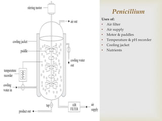 Penicillium
Uses of:
• Air filter
• Air supply
• Motor & paddles
• Temperature & pH recorder
• Cooling jacket
• Nutrients
 